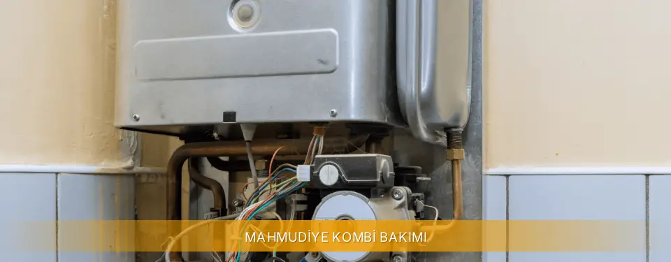 Mahmudiye İlçemi Viessmann Kombi Bakımı