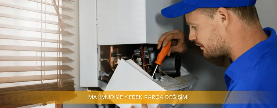 Mahmudiye İlçemi Viessmann Yedek Parça Değişimi